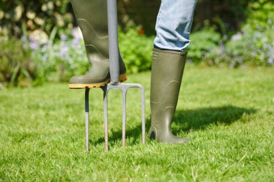 Revitalize Your Lawn: Expert Tips for Transforming Your Garden in Four Weeks